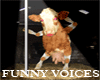 Funny Voices Br
