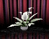 [STC] white lillies
