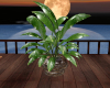 J~ Potted Plant 2