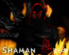 ! Shaman Demon Robe