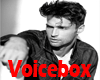vb) 80+ Basic Male Voice
