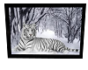 winter tiger