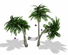 Palm Tree Hammock