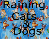!(A)RainingCats&Dogs