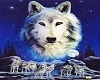 WOLF PIC