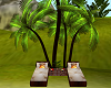 (V) Tropical Palm Reclin