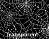 cobwebs bodysuit transp