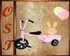 ANIM.BABY GIRLS TRICYCLE
