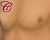 Gold Nipple Ring