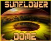 DJ Light Sunflower DOME