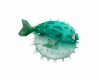 Fugus Fish Anim