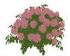 Hydrangea Flowers v2