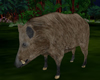 ~H~Wild Boar Animated
