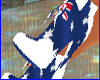 Aussie boots