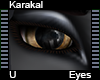 Karakal Eyes
