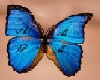 Butterfly Tattoo Chest