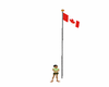 flag and pole canada