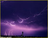 Purple Lightning picture