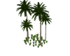 B| Palm Trees V2