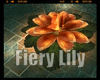 *Fiery Lily
