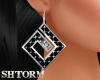 Silver Earrin F