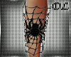 DL~ Spider Web Bands