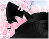 ღ Meow Ears B/Pink