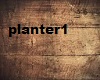 plant 1
