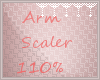 *C* Arm Scaler 110%