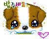 <H3 ~Sad Puppy~