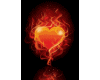 Heart on Fire 160px220p