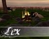 LEX warming log fire