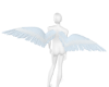 [H4] Angel Wings