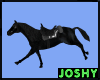 animated riding horse-BK