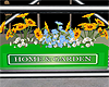 Home & Garden Flowers1
