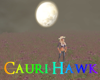 D Autumn Moon Field