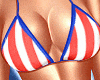 4th Of July Bikini #1