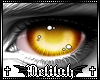 . Mamu | Eyes