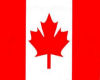 G* Canadian Wall Flag