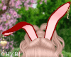 C~Bunny Red Ears
