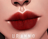 U. Under Lip I