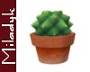 MLK Cactus Plant 2