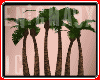 [E9x] IC Palm Trees
