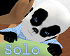 Panda Boy Solo