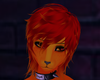 Ignis | Hair