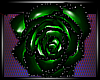 Green rose eyepatch