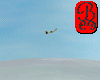 skydiving E