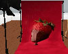 Chocolate Berry Backdrop