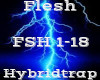 Flesh -Hybridtrap-