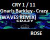 Crazy (WAVES REMIX)